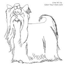 Didgeman / pixabay thanks to celebrity teacup pup parents and social media outlets (we're looking at you, instag. Teacup Yorkie Coloring Pages Sketch Coloring Page Horse Coloring Pages Yorkie Dog Line Art