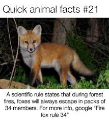 The more you know : rmemes