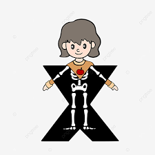 Maybe you would like to learn more about one of these? X Ray Clipart Cartoon X Ray X Ray Clipart X Ray Clip Art X Ray Png Transparent Clipart Image And Psd File For Free Download