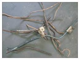 Wilwood, russell, earl's, pro comp, fragola brake lines & more. Bill G Asks Why Do Brake Lines Cost So Much To Replace Joe Boulay