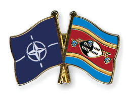 National flag consisting of horizontal stripes of blue, yellow, crimson, yellow, and blue, with a swazi shield and weapons in the centre. Crossed Flag Pins Nato Eswatini Flags