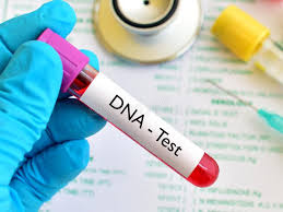 Maybe you would like to learn more about one of these? 7 738 Blood Dna Test Photos Free Royalty Free Stock Photos From Dreamstime