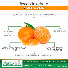 Beneficios De La Mandarina Batidos Saludables Alimentos Saludables Mandarinas