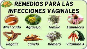 Plantas Medicinales Para Las Infecciones Vaginales Botanical Online