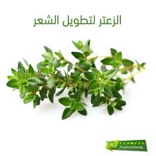 5 من اهم فوائد الزعتر لتطويل الشعر وتنعيمه herbs food parsley