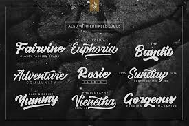 Djb lena font a2 script medium font; Vigrand Script Free Demo Befonts Com