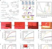 Visible and infrared three-wavelength modulated multi ...