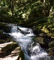 Bigar wasserfall abgebildet ist in. Bigar Cascade Falls Poneasca Aktuelle 2021 Lohnt Es Sich Mit Fotos Tripadvisor