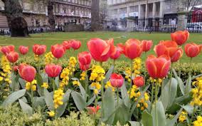 A solidly good value bed and breakfast with rates often under £100 including breakfast. Victoria 3 Star Hotel Luxury Bed And Breakfast In Central London Best Price