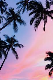 8 Beautiful Iphone Nature Wallpapers Best Iphone Backgrounds Hd & 4k quality wallpapers free to download many to choose from. 8 beautiful iphone nature wallpapers