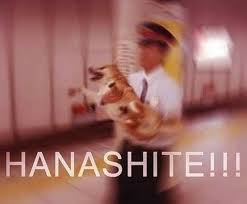 Pin De Chyyzu En Anime Quotes En 2020 Memes Atrevidos Memes Divertidos Memes Perrones