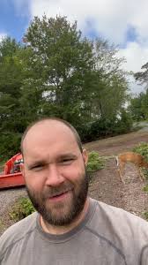 Our resident whitetail shows up again!