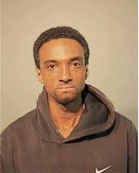 ᐅ Illinois Criminal Records 2009-2026