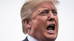 The 25th Amendment: Could It Be Used to Impeach Donald Trump?