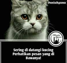 Ucapan terima kasih bergabung di grup wa. Kata Santri å¸–å­ Facebook