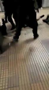 Incidentul a avut loc in jurul orei 13:45. Stefan Videos 2021 Dd Reddit Tube