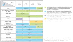 Vacunas para preadolescentes y adolescentes qué deben saber los padres. Calendario De Vacunacion Recomendado Para Adultos Stamboulian Servicios De Salud