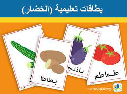 بطاقات تعليمية لأسماء الخضراوات اسماء الخضرالتالية طماطم بازلاء بروكلي بطاطا جزر بصل ثوم يقطين لفت فجل ملفوف قرنبيط خي cards free books download jungle animals