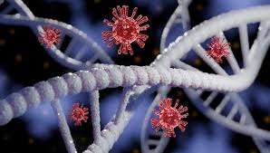 The philippines has not yet detected the lambda variant of coronavirus that is being compared by experts to the delta variant as far as transmissibility is concerned, a health official said tuesday. Coronavirus Briefing Newsletter Times Of India