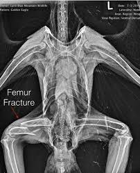 How many days until july 27th 2022? Weekly Newsletter