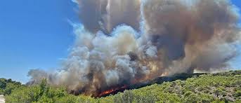 Jun 12, 2021 · φωτια, λαυριο,. Fwtia Sto Layrio Koinwnia Ant1 News