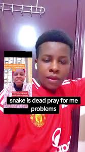 Exploring Joyce: The Last Born Journey