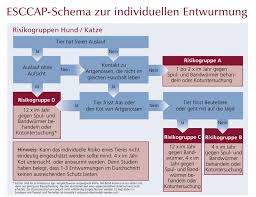 , kleine kätzchen milchbrei, katzenforum, ab wann katzenbabys an feste nahrung gewöhnen , milchbrei für katzenwelpen. Wie Oft Katzen Entwurmen Esccap Deutschland