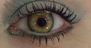 My Olive Green Eye Olive Green Eyes Green Eyes Green Contacts