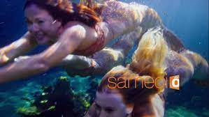 We did not find results for: Les Sirenes De Mako En Video Sur Dailymotion