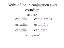 Verbs In The Present Tense Ppt Download