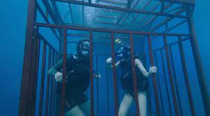 Las Novias De Gwangi A 47 Metros Especie En Peligro De Extincion Full Movies Movies Shark Film