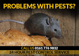 While they rarely go out of their way to sting, wasps may become wasps can assist in the management of other pests, particularly in agriculture as biological control agents. Rodent Control Wasp Nest Removal 24 Hour Pest Removal Service