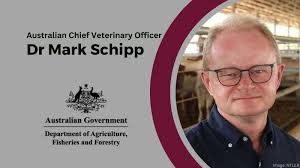 Miguel Angel Escandon Almazan