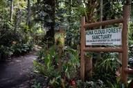 The Kona Cloud Forest Sanctuary : One of Few Rare Remaining ...