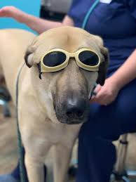 BM: Our Baby A Handsome Young Fella