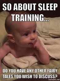 So About Sleep Training Do You Have Any Other Fairytales You Wish To Discuss Funny Babies Baby Memes Funny Kids