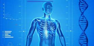 1) pancreas cu evidentierea unor microcalcificari corporeale si a unor formatiuni chistice placate la nivel corporeocaudal pe fata anterioara 2) mici leziuni multzam fain pentru raspuns. Neoplasm De Pancreas Principalele Tipuri Èi Cauze Cancer360