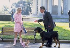 Elle Woods Reese Witherspoon Stanford Marks Bruce Mcgill Legally Blonde 2 Red White Blonde 2 Legally Blonde Legally Blonde Outfits Legally Blonde 2