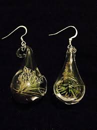 Terrarium Earrings Earrings Unique Jewelry Drop Earrings