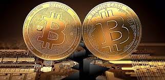 What you need to know. Bitcoin Vs Bitcoin Cash Which Crypto Should You Buy In 2021 Trading Education