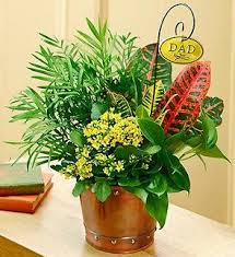 Get our best floral arranging secrets—with tricks of the technique and products—from the most trusted florists. 10 Father S Day Flowers Ideas Father S Day Flowers Flowers Flower Arrangements