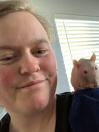 Rat treat recommendations that don't require refrigeration