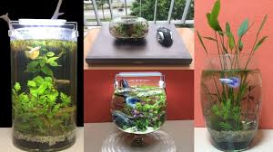 Top 5 Homemade Aquarium Wonderful On Desk For Betta Diy Planted Aquarium No Filter No Co2 Youtube Homemade Aquarium Planted Aquarium Diy Plants