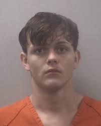 Garrett Dalton Chavis and Eric Eugene Riley were both arrested and charged  with several counts of Theft From Motor Vehicle, Petit Larceny, and  Criminal Conspiracy. The arrests come after an investigation into