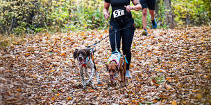 Paws for a Cause Canicross & Trail Run/Walk