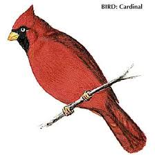 Birds Of Eastern Panhandle Wv West Virginia Capital Population Map History Facts Britannica