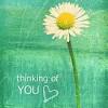 Flowers quotes flowers thinking of you images. 3
