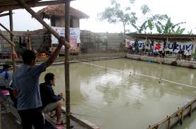 Bima Sakti Tersedia Kolam Lomba Harian Kopi Gratis Kabar Mancing