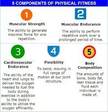 Healy And Fitness Components Physical Education Activities Physical Fitness Muscular Endurance