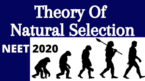 Darwin's theory darwin's theory is open seven days a week. Pin On Neet Biology Quick Revision Series